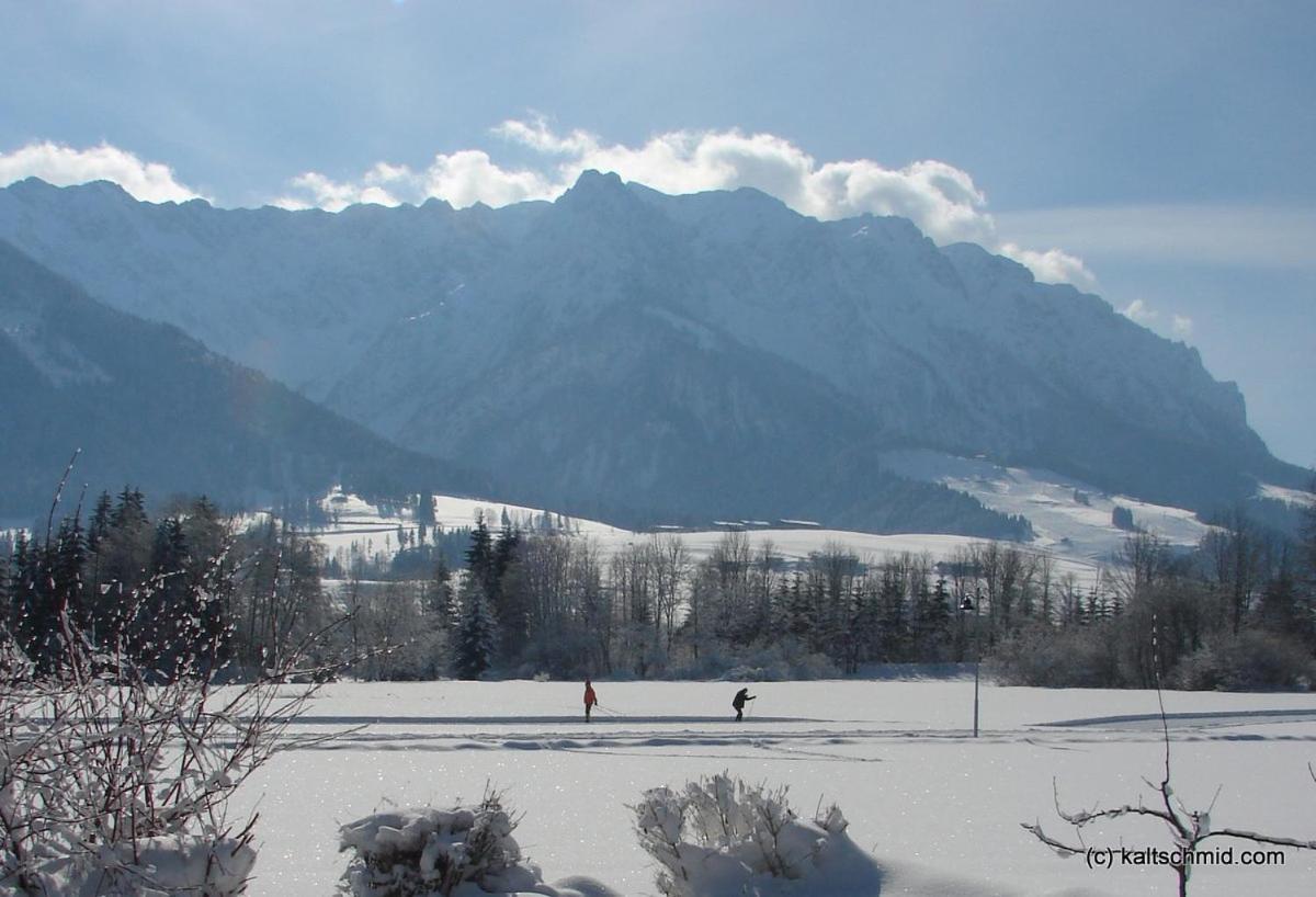 Sonnenhof Walchsee Cameră foto